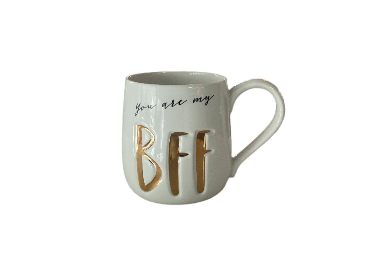 You are my BFF mug